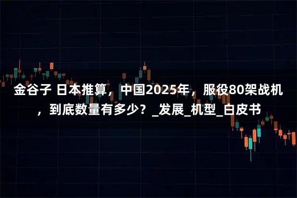 金谷子 日本推算,中国2025年,服役80架战机,到底数量有多少?_发展_机型_白皮书