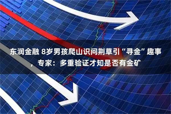 东润金融 8岁男孩爬山识问荆草引“寻金”趣事，专家：多重验证才知是否有金矿