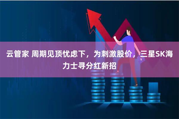 云管家 周期见顶忧虑下，为刺激股价，三星SK海力士寻分红新招