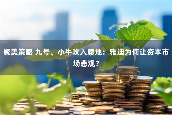 聚美策略 九号、小牛攻入腹地：雅迪为何让资本市场悲观？