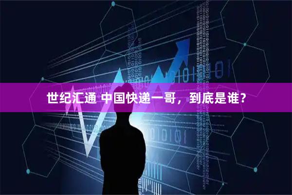 世纪汇通 中国快递一哥，到底是谁？